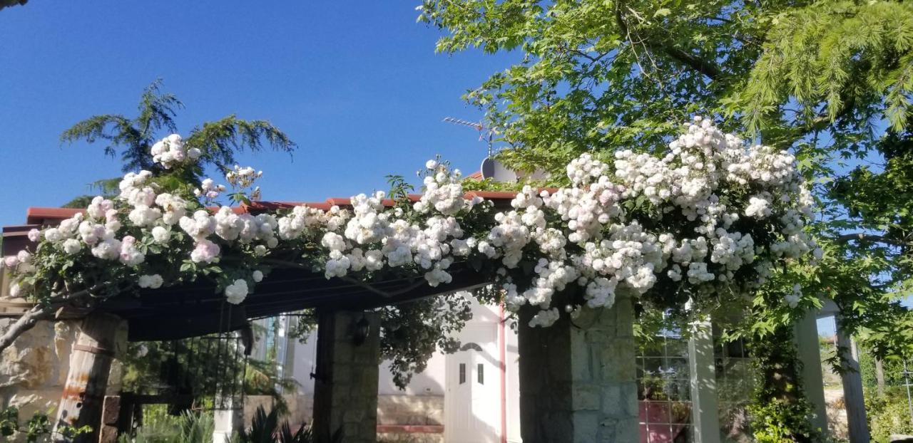 Country House Bubullime Albania Lushnjë Dış mekan fotoğraf