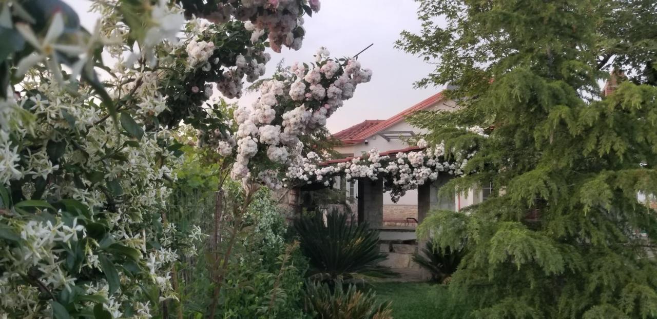 Country House Bubullime Albania Lushnjë Dış mekan fotoğraf