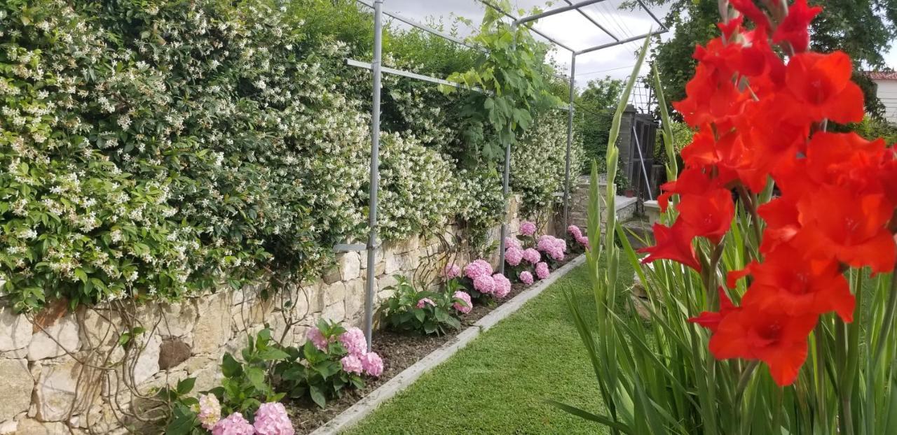 Country House Bubullime Albania Lushnjë Dış mekan fotoğraf