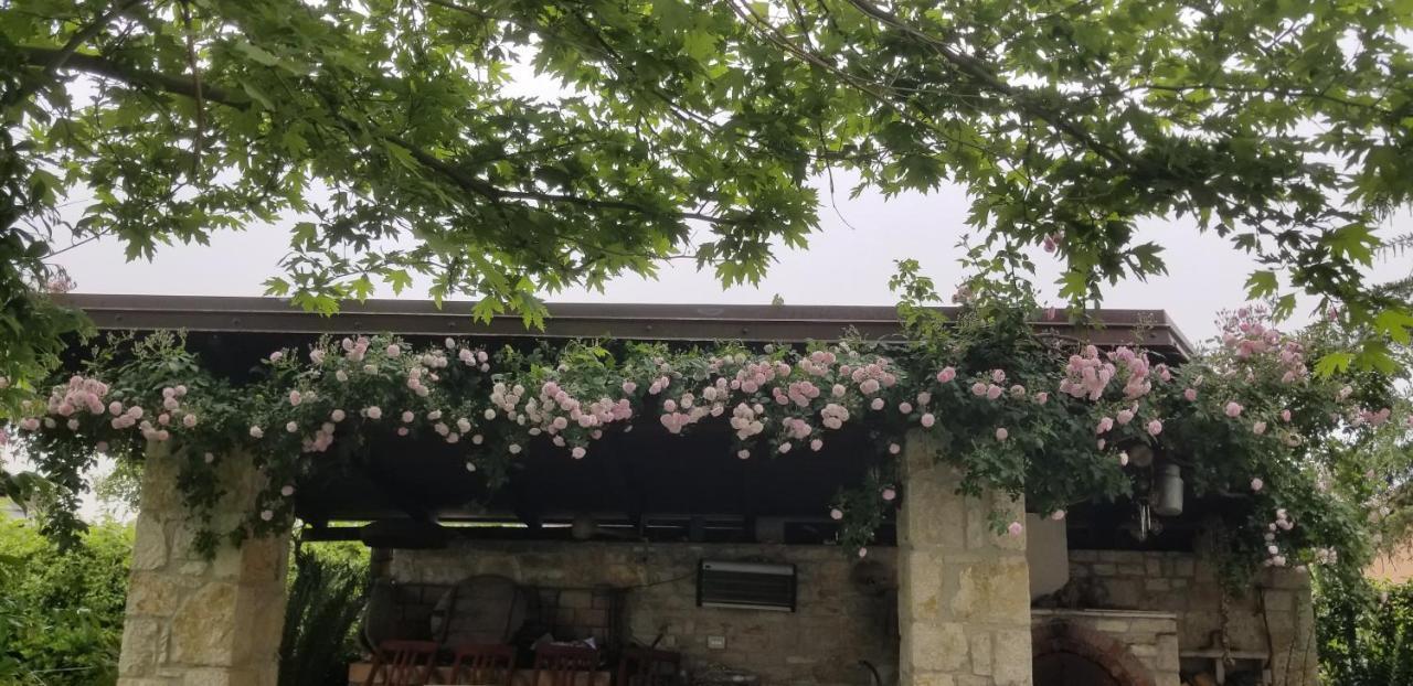 Country House Bubullime Albania Lushnjë Dış mekan fotoğraf