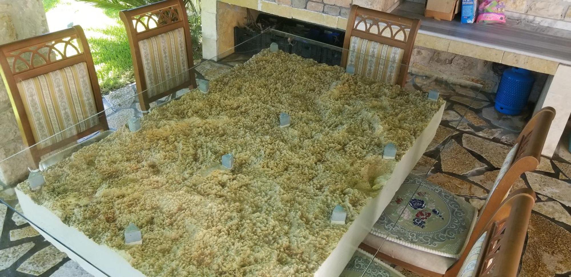 Country House Bubullime Albania Lushnjë Dış mekan fotoğraf