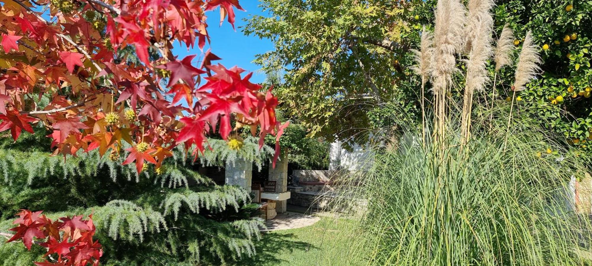 Country House Bubullime Albania Lushnjë Dış mekan fotoğraf